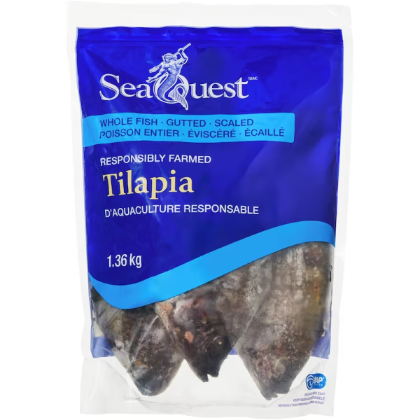 SeaQuest Whole Tilapia